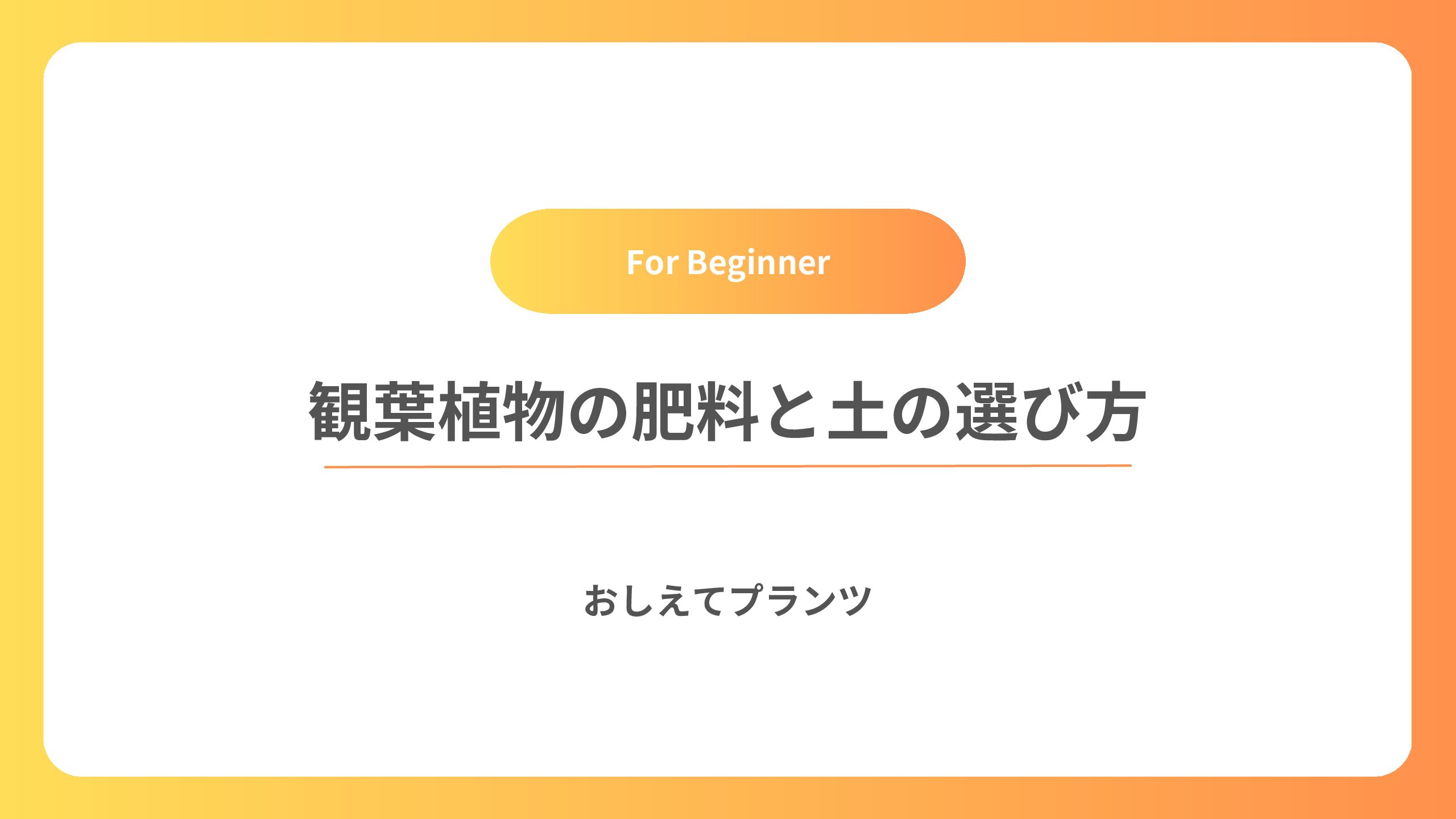 観葉植物の肥料と土の選び方